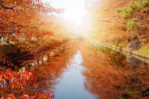 The Oirase Gorge beautiful river druing the autumn season, Japan