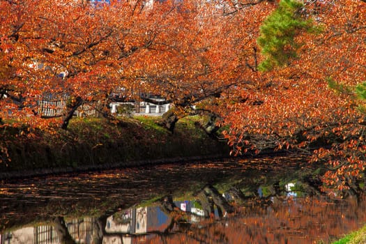 The Oirase Gorge beautiful river druing the autumn season, Japan