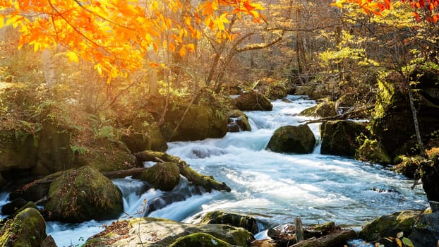 The Oirase Gorge beautiful river druing the autumn season, Japan