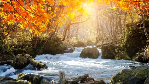 The Oirase Gorge beautiful river druing the autumn season, Japan