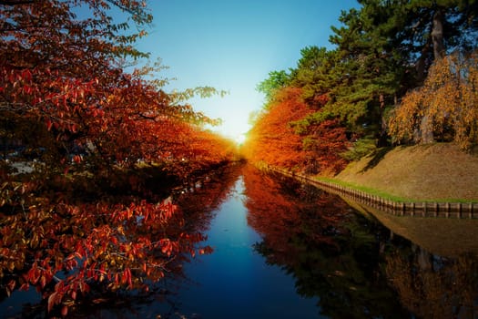 The Oirase Gorge beautiful river druing the autumn season, Japan