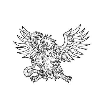 Drawing sketch style illustration of a Mexican eagle, golden eagle or northern crested caracara fighting a rattlesnake, viper, snake or serpent in black and white on isolated background.