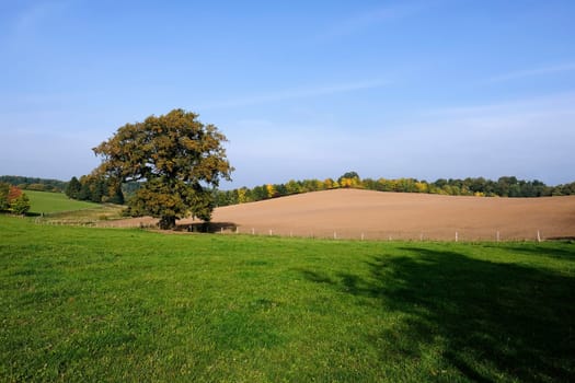 Ecological agriculture in autumn - natural landscape in Schleswig-Holstein - Germany