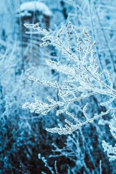 branches in the snow during the day.