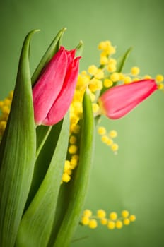 Spring bouquet with red tulip and mimosa