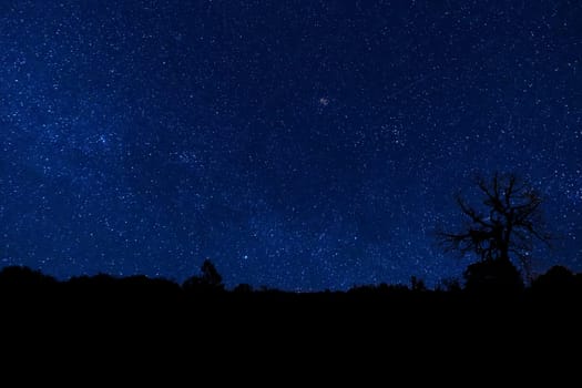 Blue clear night with stars