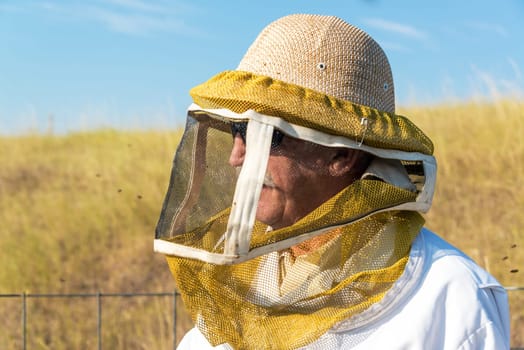 Closeup view of a beekeeper near Buffalo, Wyoming