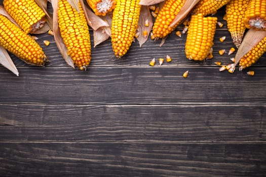 Corn cobs on wooden table. Copy space. Top view