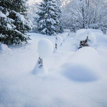 Snow-covered landscape in the countryside. Viitna, Estonia