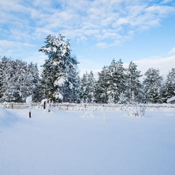 Snow-covered landscape in the countryside. Viitna, Estonia