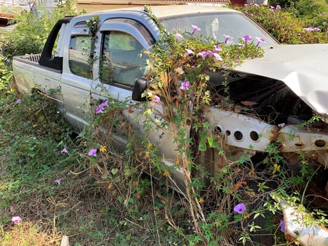 Car Wreck Environmental Disaster, forgotten damaged car with plants