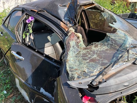 Car Wreck Environmental Disaster, forgotten damaged car with plants