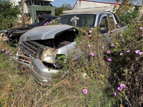 Car Wreck Environmental Disaster, forgotten damaged car with plants