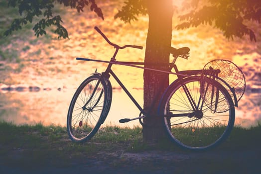 Vintage bicycle by tree at sunset with butterfly net attached. Sun in background, soft look. Belarus, Europe
