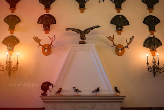 Old fireplace in castle room with trophies. Stuffed birds and animal's horns on wall with lamps