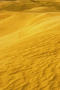 Landscape of sand dunes in the Sahara Desert in Tunisia