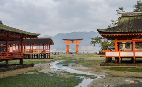 The morining scenery of Itsukushima Shrine and the great O-Torii at low tide in Miyajima island, Japan