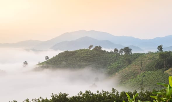 Stunning aerial view of sunrise with sea of fog above Mekong river at mountain viewpoint in Nong Khai Province, Thailand