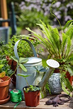 Old galvanised watering can with potted plants, balls of twine and a lizard ornament on a wooden outdoor garden table
