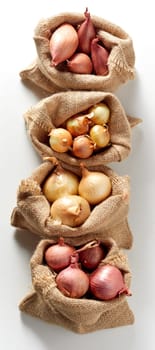 Vertically arranged row of burlap sack bags with different kind of fresh red and yellow onion, viewed from above on white background
