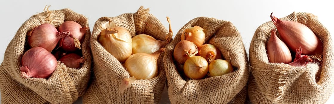 Set of various onion harvest sorted in burlap sack bags and arranged in a row, viewed in close-up on white background