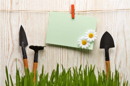 Gardening tools, fresh green grass and blank sheet on a wooden background. Concept of spring gardening.