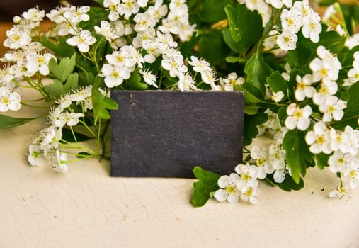 Weißdorn Blüten Crataegus auf Holz