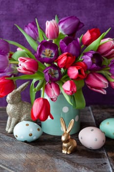 Colorful tulips in spring with easter decorations in front of purple background