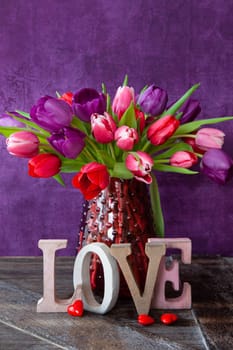 Colorful tulips in spring in front of purple background