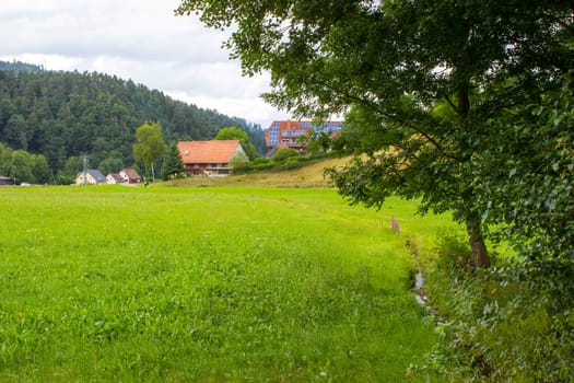 Black Forest in Germany