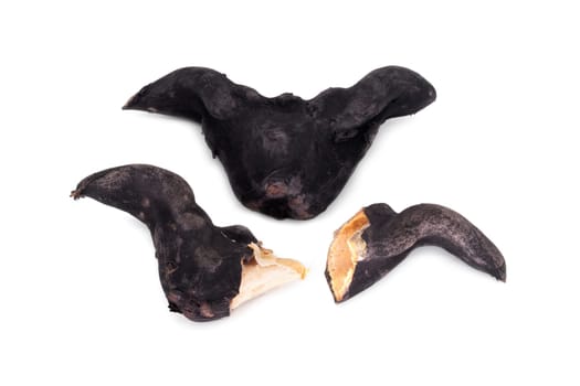 Water Caltrop, close up of black baffalo horn nut on white background