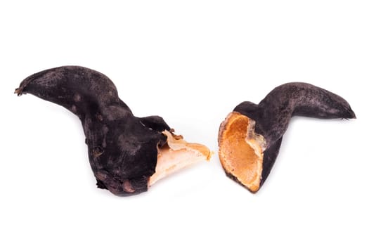 Water Caltrop, close up of black baffalo horn nut on white background