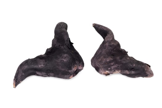Water Caltrop, close up of black baffalo horn nut on white background