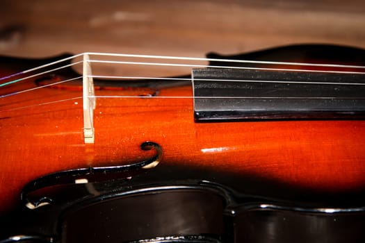 Detail of a violin