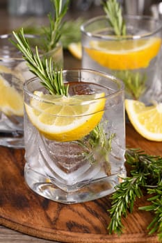 This is a great refreshing organic gin and tonic cocktail with a squeeze of lemon and rosemary. Perfect for vegetarians.