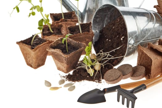 Still life with gardening tools, peat tablets and pots and young seedlings isolated on a white background. Concept of spring gardening, Vegetable growing.