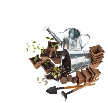 Still life with gardening tools, peat tablets and pots and young seedlings isolated on a white background. Concept of spring gardening, Vegetable growing. Top view