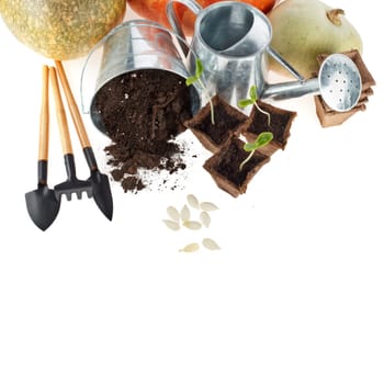 Still life with gardening tools, bucket, watering can, peat tablets and pots, young seedlings and ripe pumpkins isolated on a white background. Concept of gardening and future yield, Top view