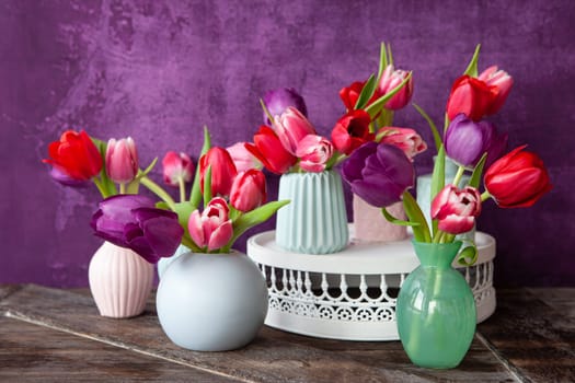 Colorful tulips in spring in front of purple background
