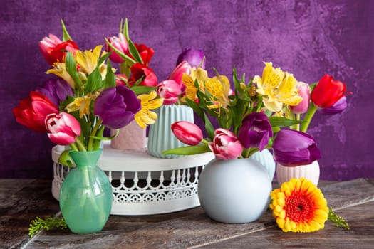 Colorful tulips in spring in front of purple background