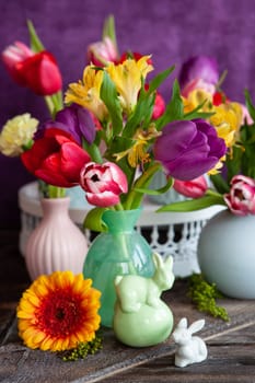 Colorful tulips in spring in front of purple background