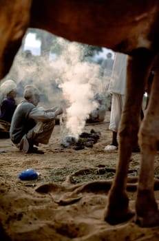 A blurred camel body part sits in foreground while an in focus the encampment of indian herders, Pushkar Camel Fair in Rajasthan, India