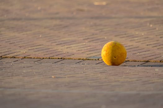 Yellow Kids Ball Lies on a Paved Place in front of Blurred Background