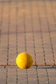 Yellow Kids Ball Lies on a Paved Place in front of Blurred Background