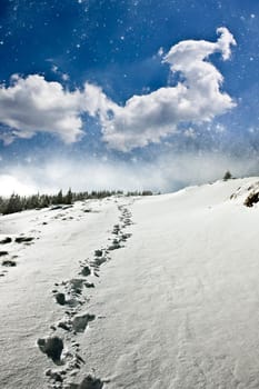 Footpath on the snow covered mountain
