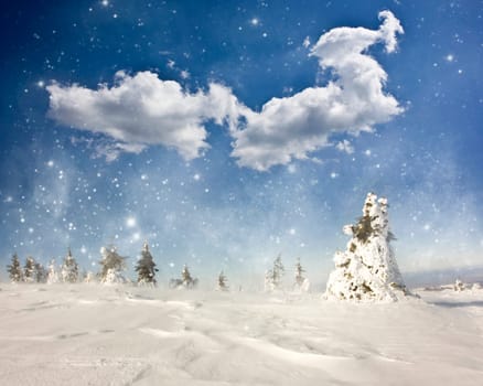Christmas background with snowy pine forest