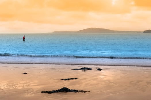lone fisherman wading in the river Shannon county Kerry Ireland