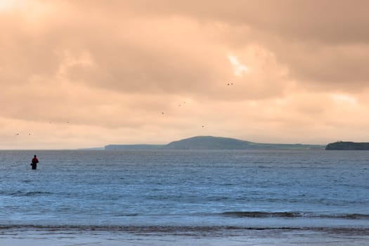 lone fisherman wading in the river Shannon county Kerry Ireland