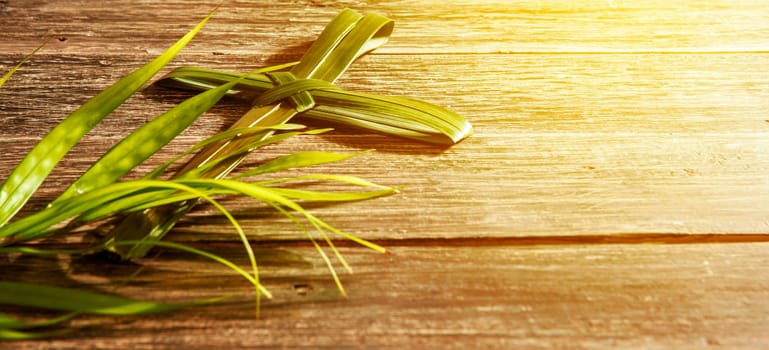 Closeup view of cross shape of palm leaf and palm branches with ray in wooden background. Palm Sunday concept