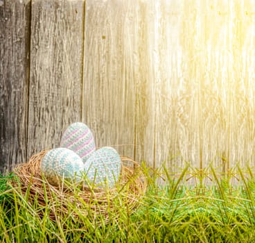 Colorful easter eggs in the nest on the green grass with sunlight and wooden fence background. Happy Easter